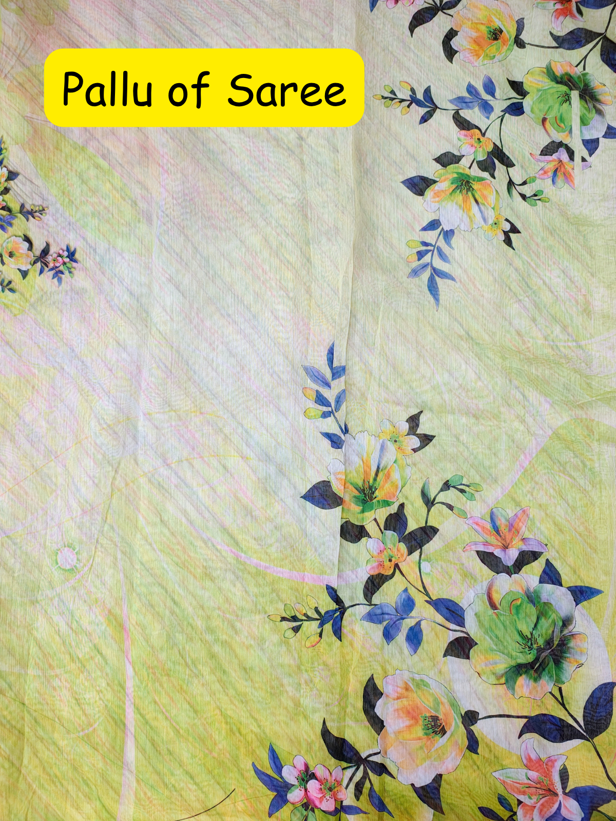 Gulabi Bahar/Pista Color