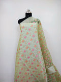 Phool Jaal Banarasi Saree/Pista Color