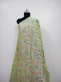 Banarasi Silk Saree/Floral Jaal Pattern/Pista Color