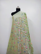 Banarasi Silk Saree/Floral Jaal Pattern/Pista Color