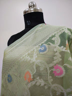 Banarasi Silk Saree/Floral Jaal Pattern/Pista Color