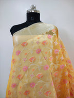 Phool Jaal Banarasi Saree/Gold Color