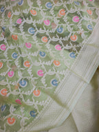 Banarasi Silk Saree/Floral Jaal Pattern/Pista Color