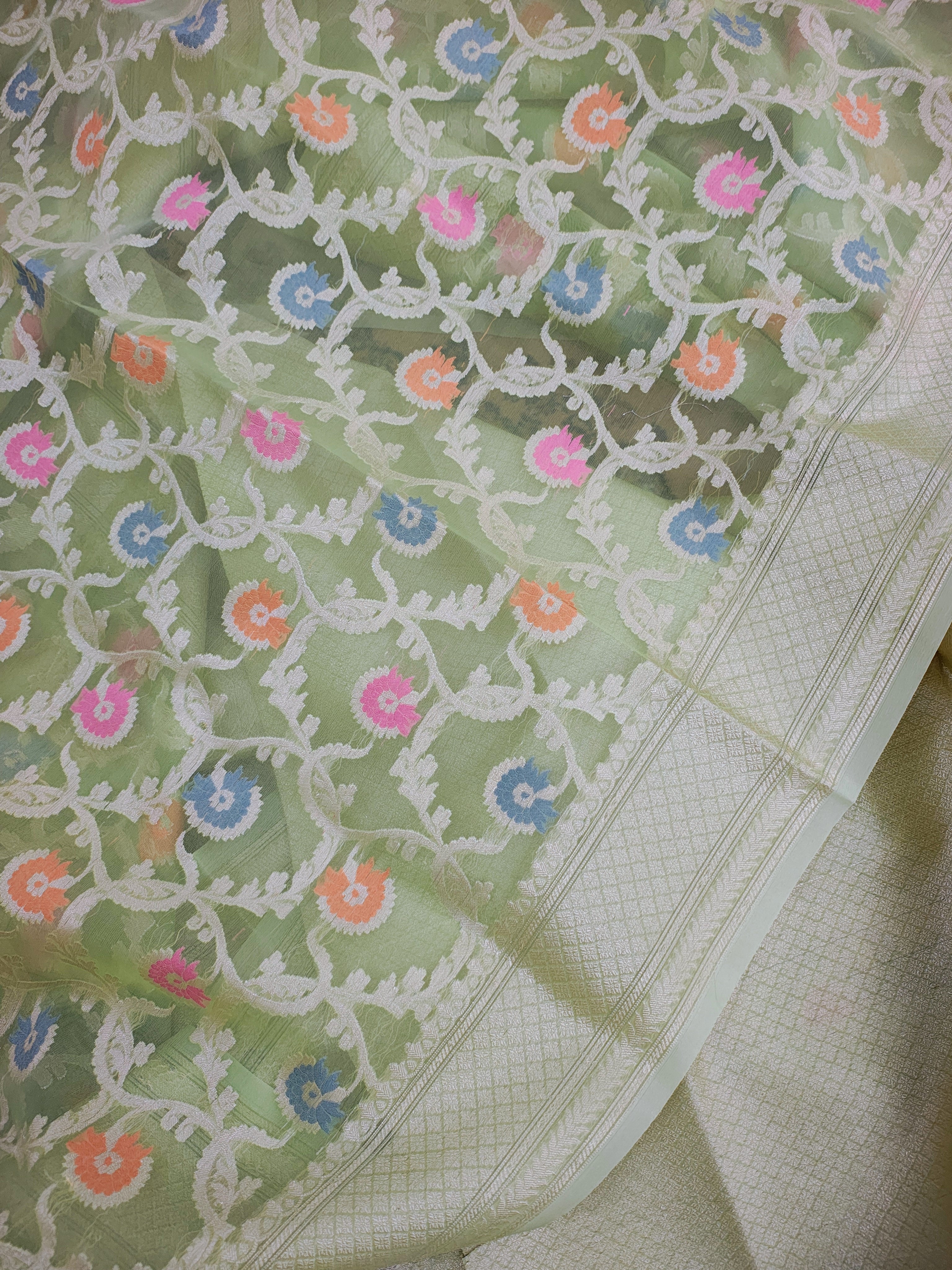 Banarasi Silk Saree/Floral Jaal Pattern/Pista Color