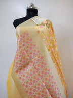 Phool Jaal Banarasi Saree/Gold Color