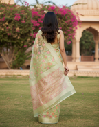 Phool Jaal Banarasi Saree/Pista Color