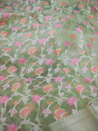Phool Jaal Banarasi Saree/Pista Color