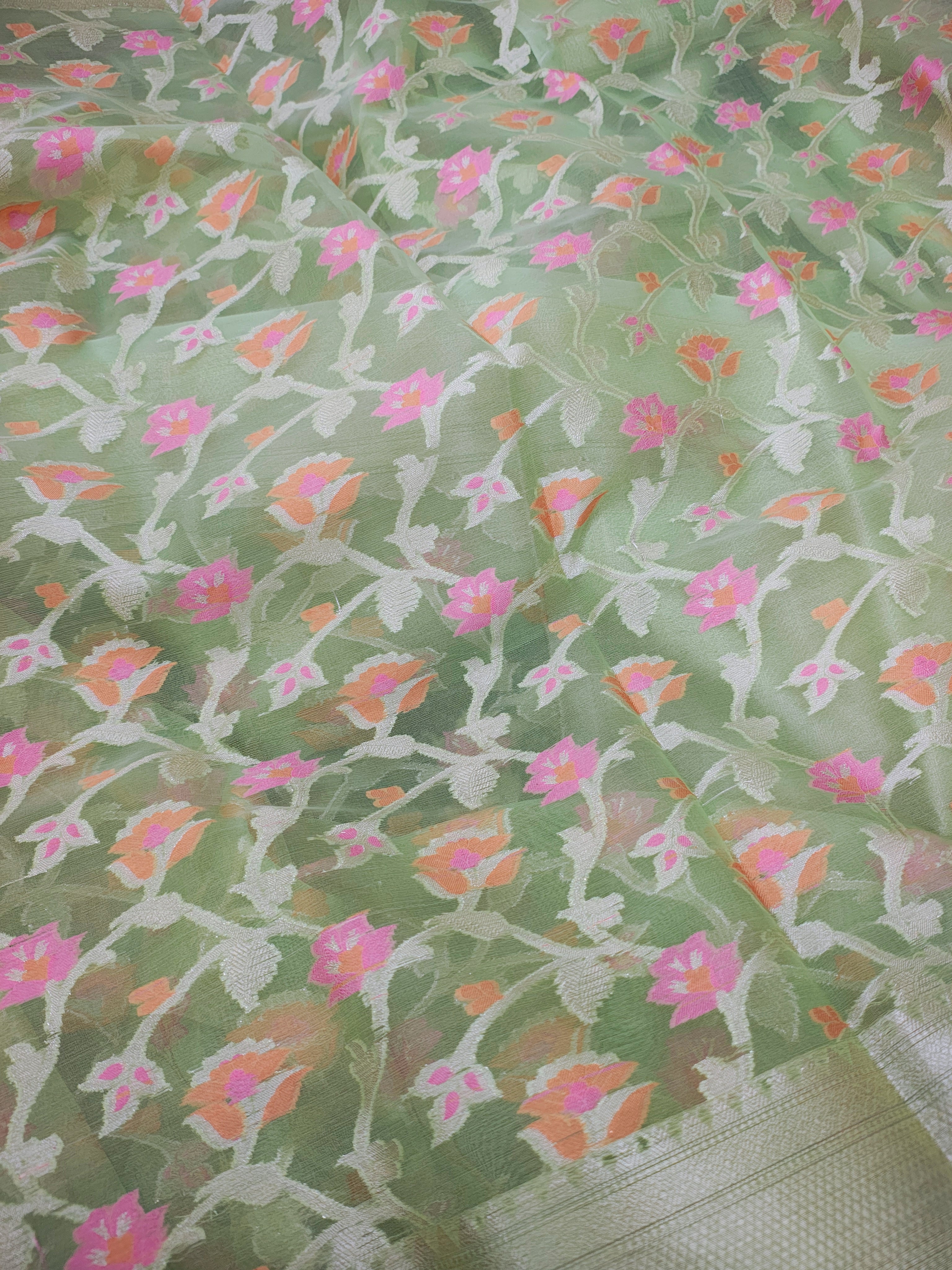 Phool Jaal Banarasi Saree/Pista Color