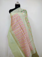 Phool Jaal Banarasi Saree/Pista Color