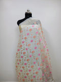 Phool Jaal Banarasi Saree/Off-White Color