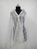 Cotton Dupion Zari Lining