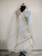 Dy. Cotton Zari Patta