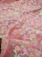 Phool Jaal Banarasi Saree/Pink Color