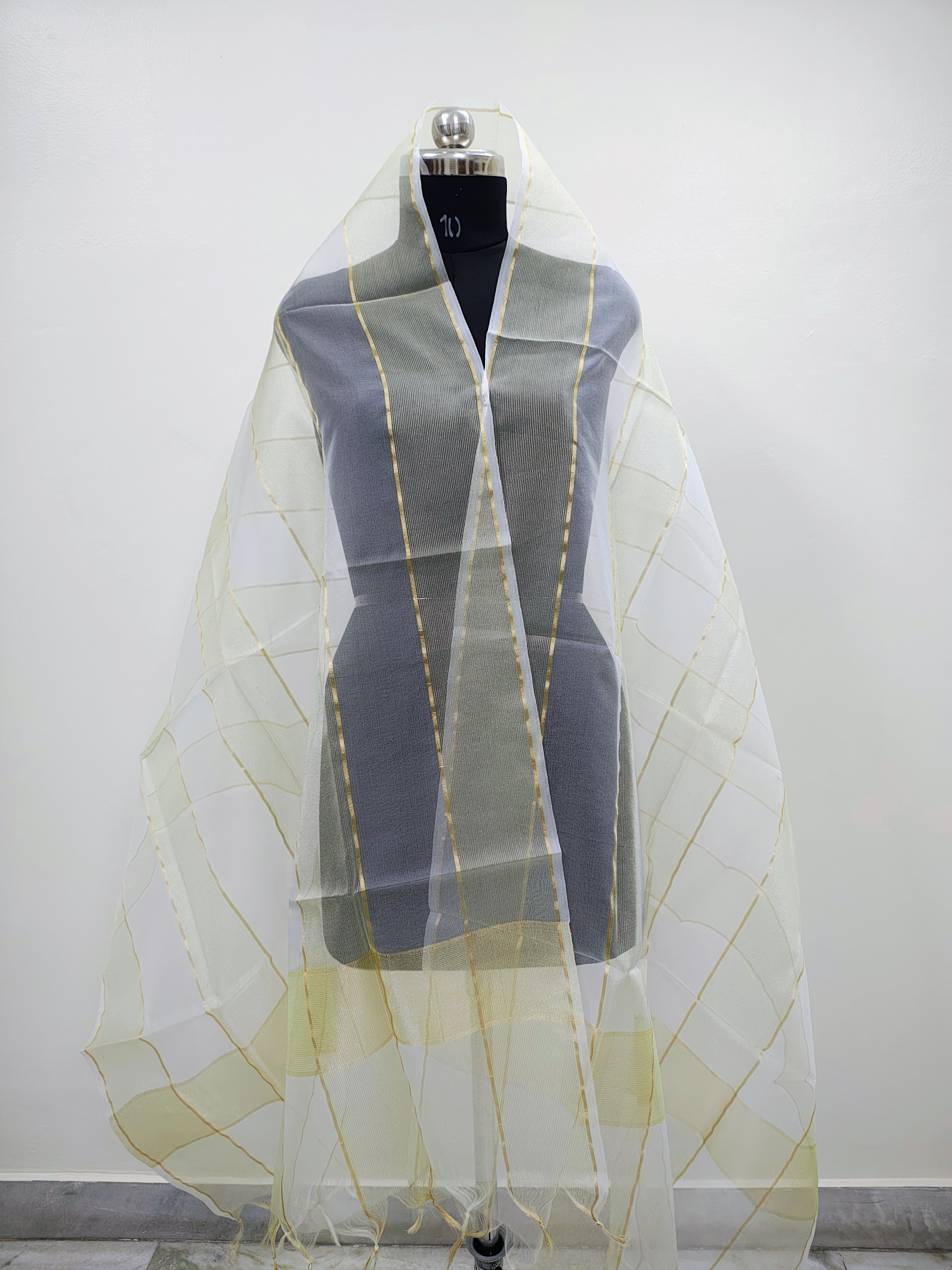 Organza Dy. 5 Patti Tissue Border