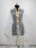 Organza Dy. Sakri Multi Patta
