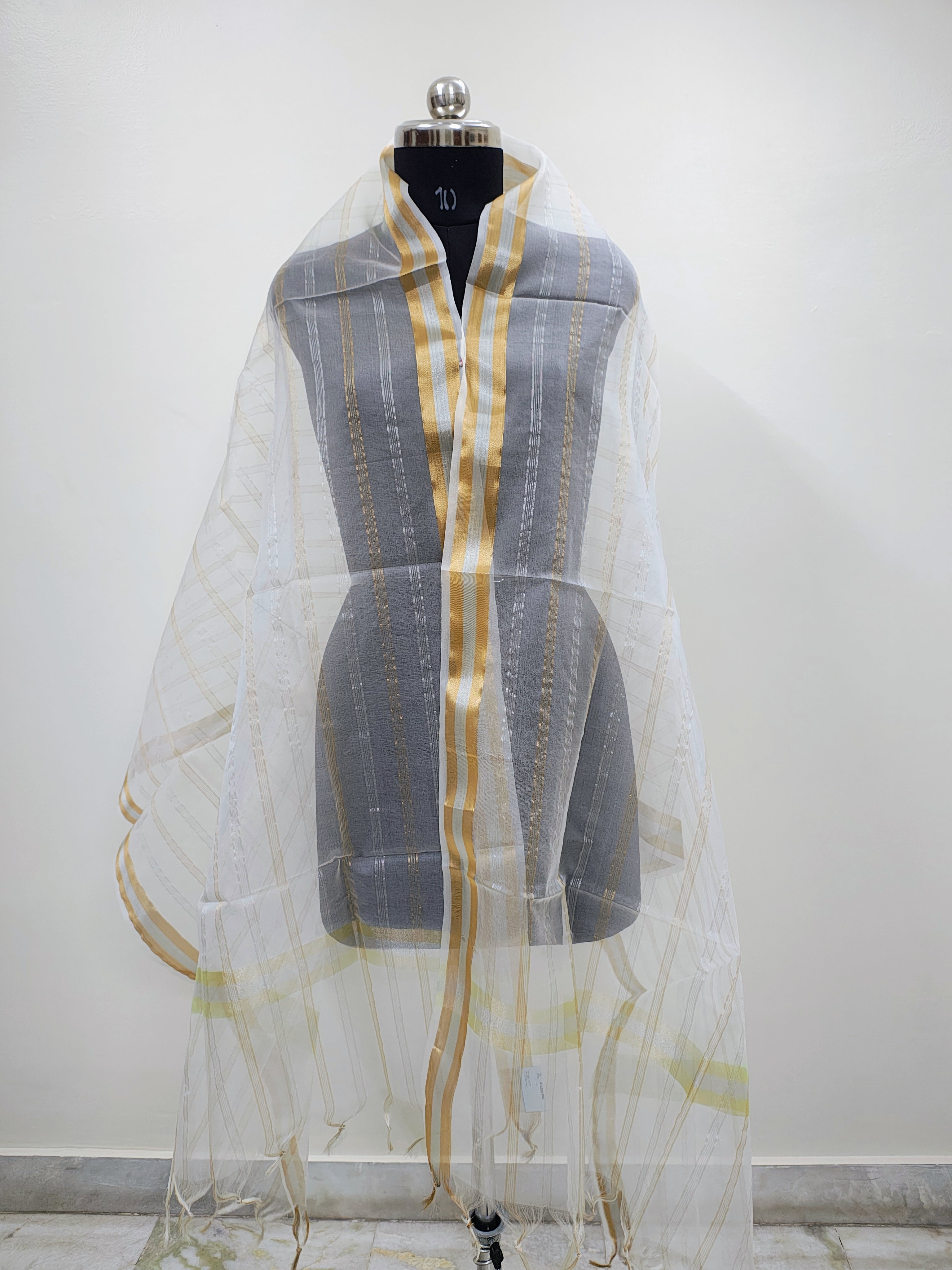 Organza Dy. Sakri Multi Patta