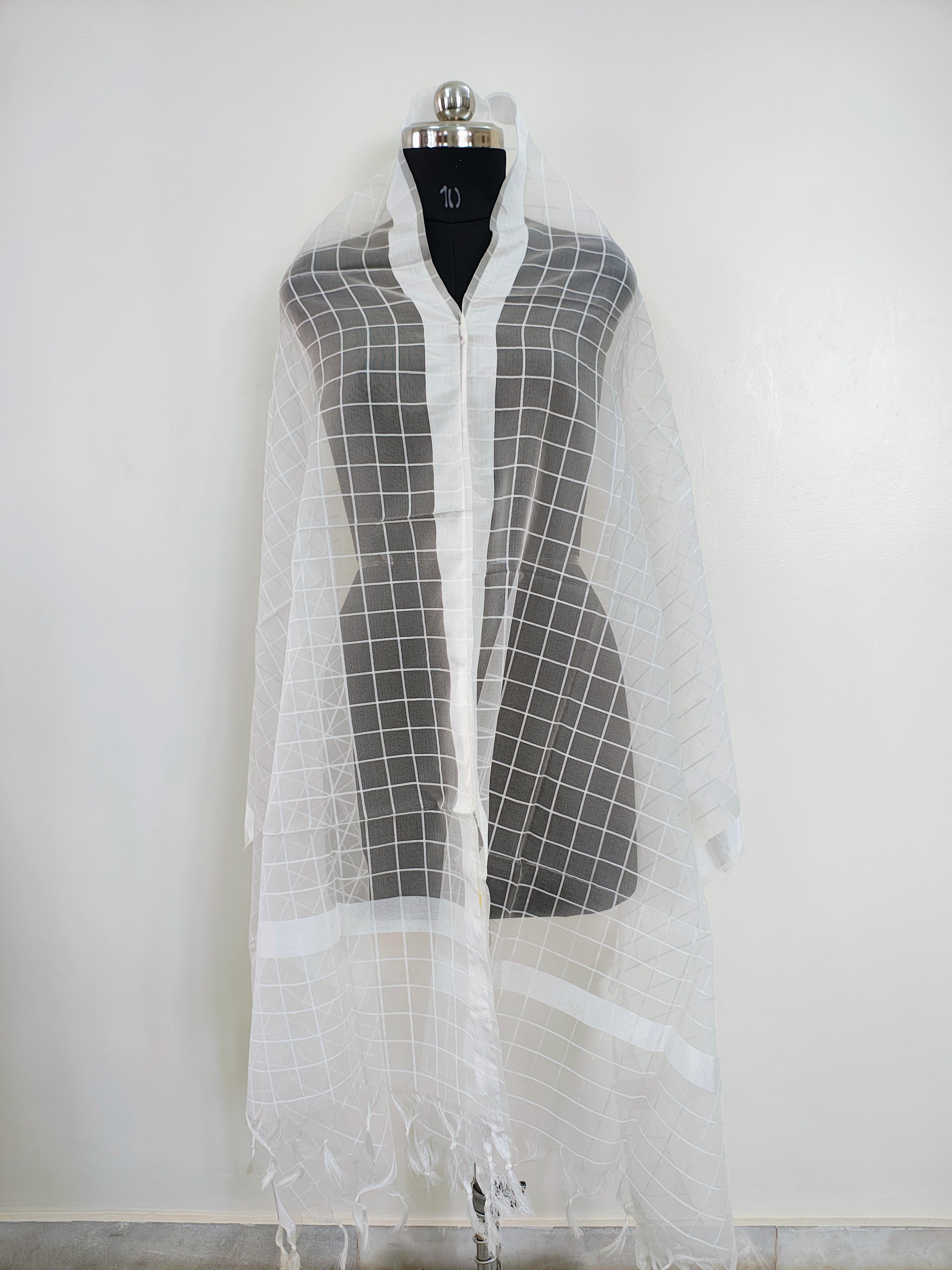 Organza Dyeable